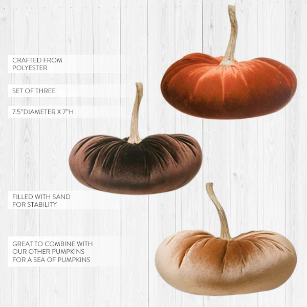Neutral Velvet Pumpkin with Stem, Set of 3