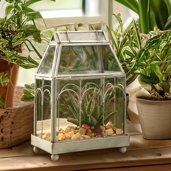 Tabletop Glass Terrarium