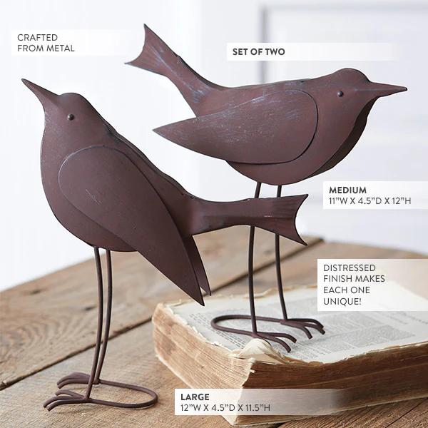 Rustic Farmhouse Oversized Songbirds, Set of Two