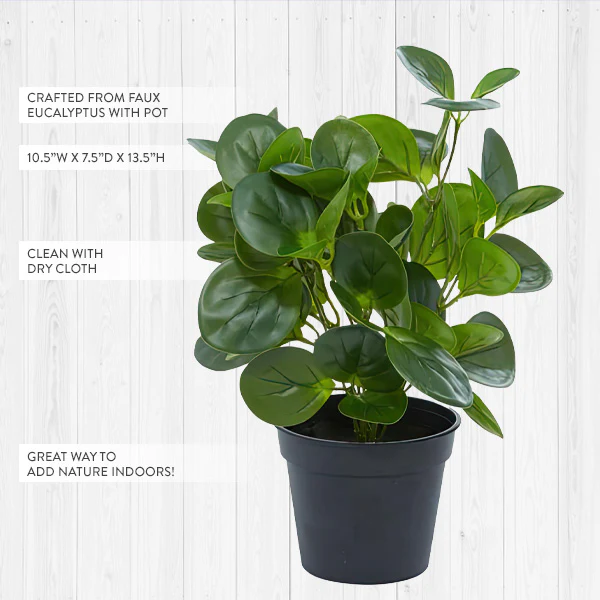 Lifelike Potted Peperomia Plant