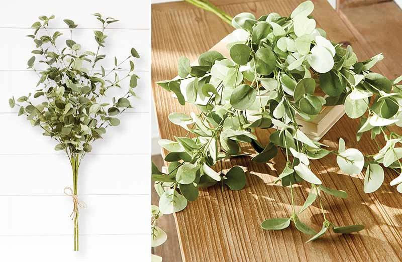 Lush Eucalyptus Bundle  Set of 2