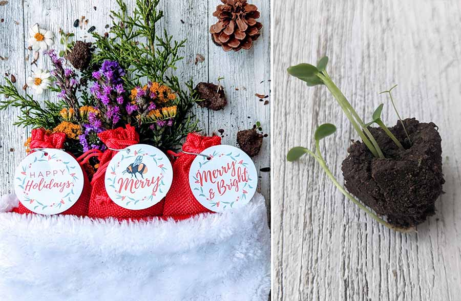 Wildflower Seed Ball Gift Sacks, Set of 3 | Handmade in the USA