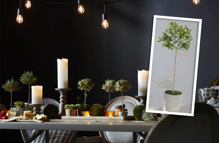 Potted Topiary, Set of 2