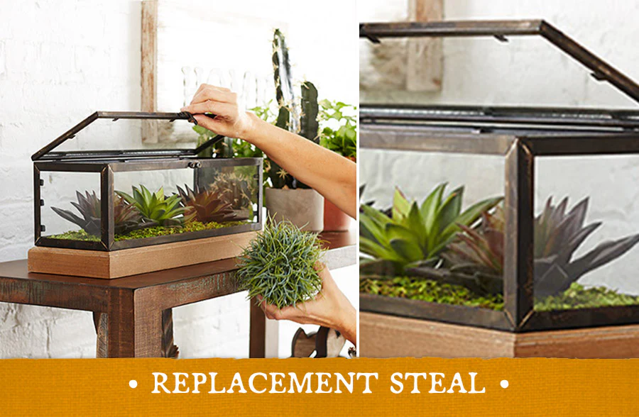 Terrarium Greenhouse Display